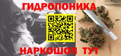 каннабис Новодвинск
