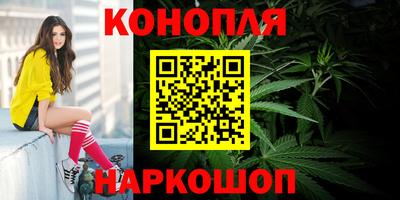 дживик Новозыбков