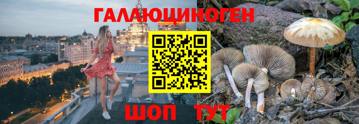 Псилоцибиновые грибы Psilocybine cubensis  Вход с VPN  Сокол 