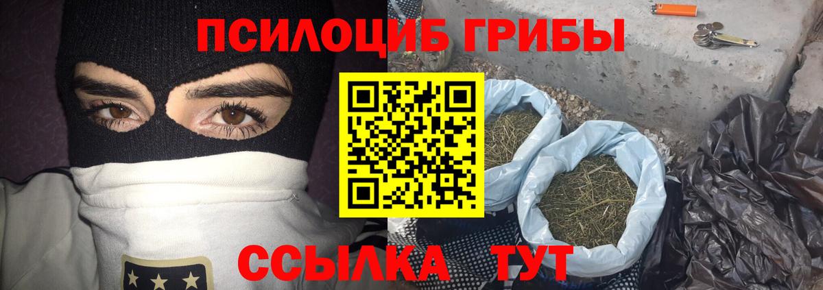 Псилоцибиновые грибы GOLDEN TEACHER Сокол